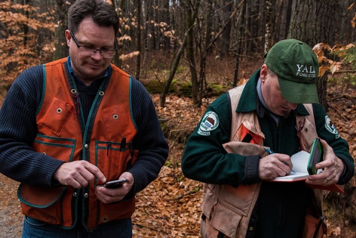klementovich20151202-American chestnut notes