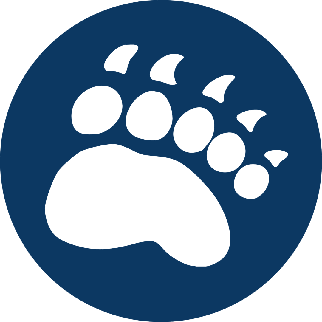 Bear Claw UMaine