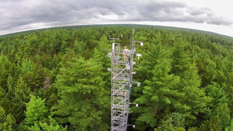 Photo of man standing at the top of the Howland forest research tower.